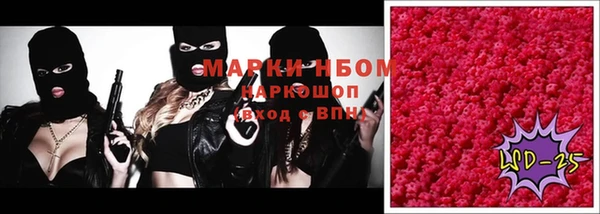 амф Елабуга
