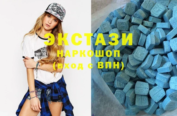 спиды Ельня