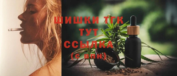 амф Елабуга