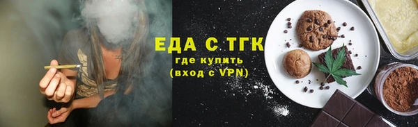 спиды Ельня