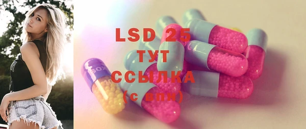 спиды Ельня