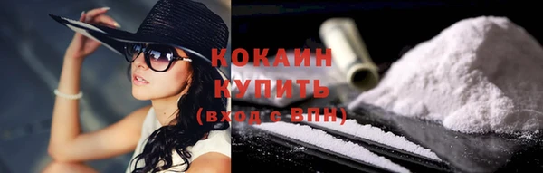 спиды Ельня