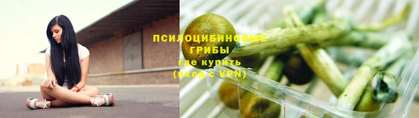 спиды Ельня