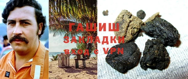 спиды Ельня