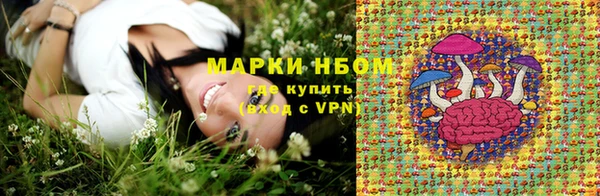 амф Елабуга