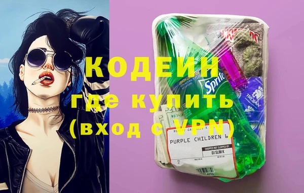 спиды Ельня
