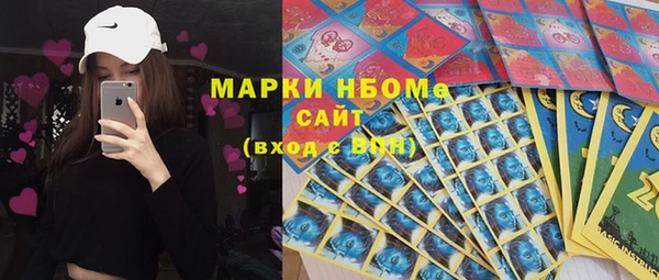 амф Елабуга