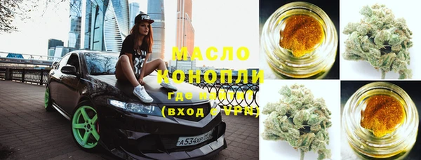 спиды Ельня