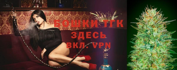 спиды Ельня