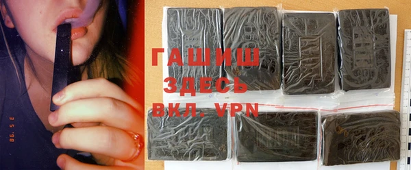 спиды Ельня