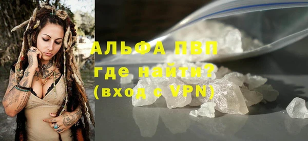 спиды Ельня