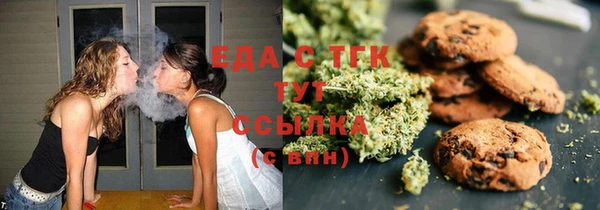 спиды Ельня
