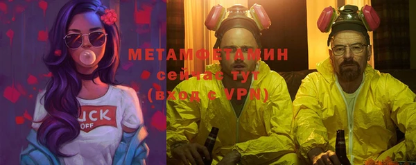 спиды Ельня