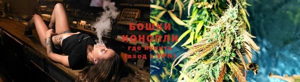 спиды Ельня