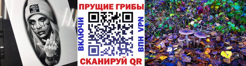 Галлюциногенные грибы мицелий  Купить где  Белогорск 